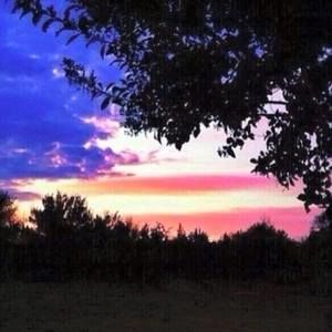 Meet your Posher, Dawnlyn